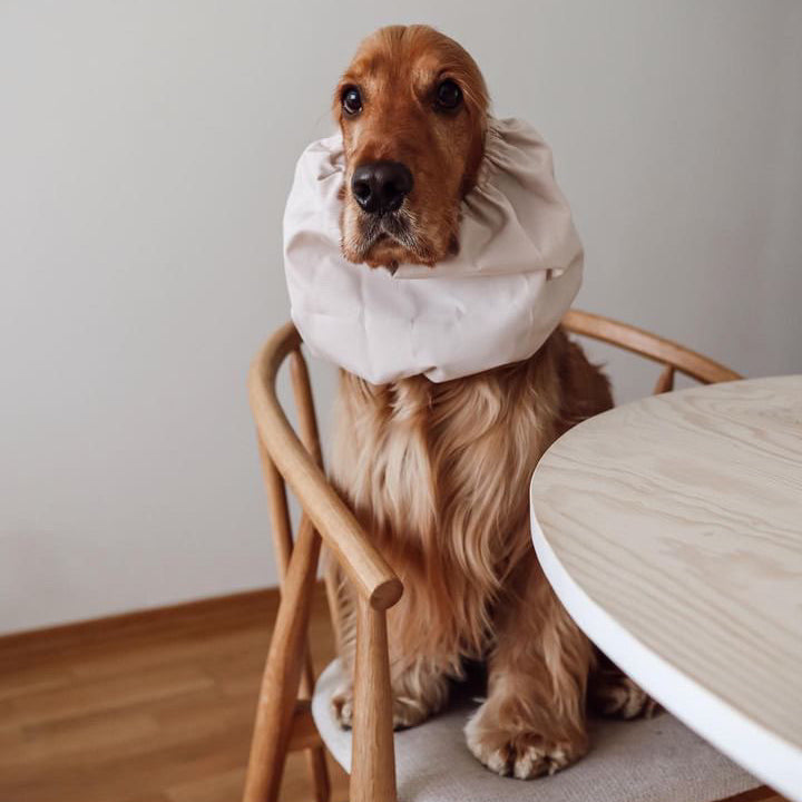 Water Resistant Dog Snoods