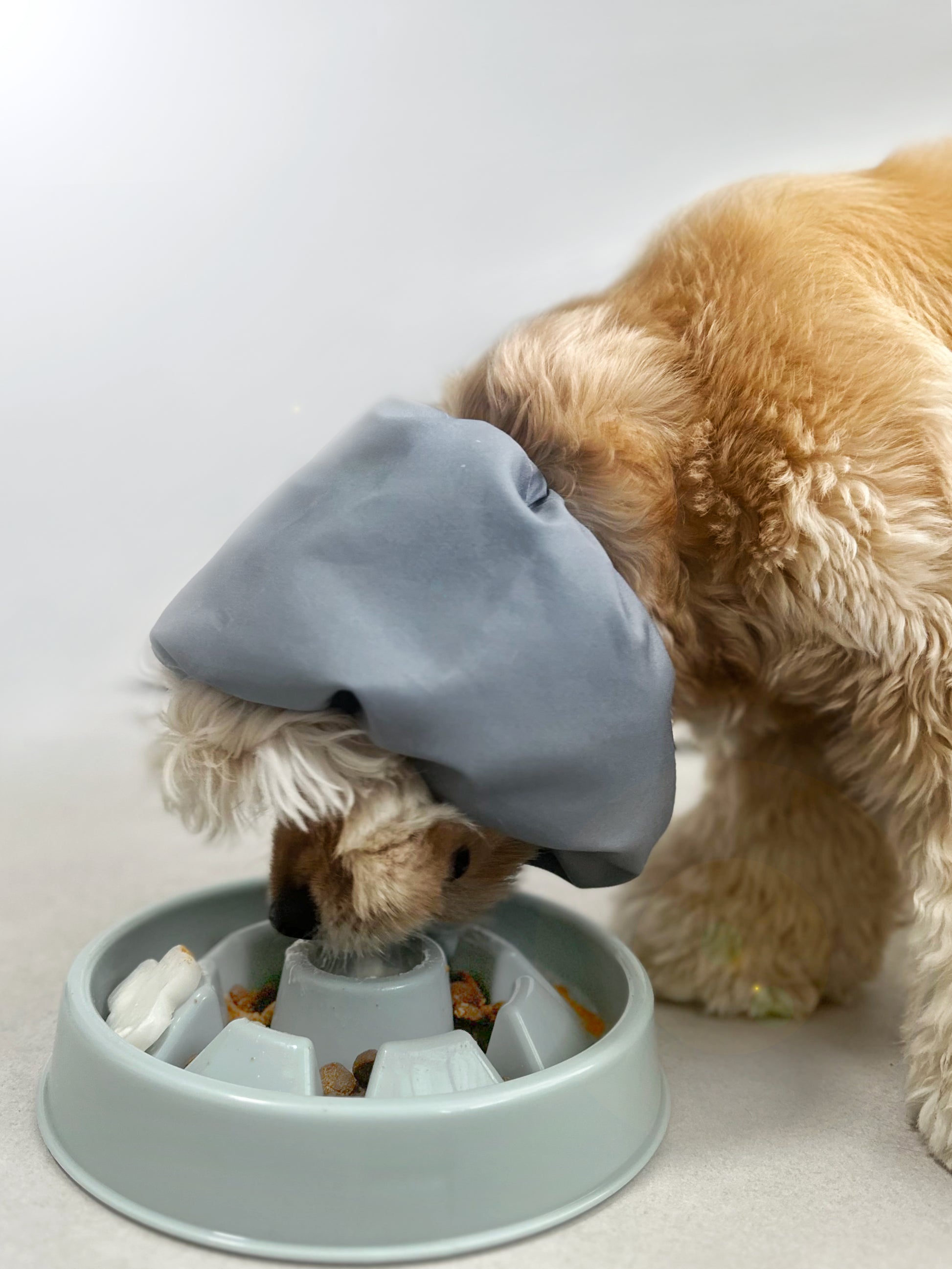 Water-Resistant Dog Snood - Pigeon Blue