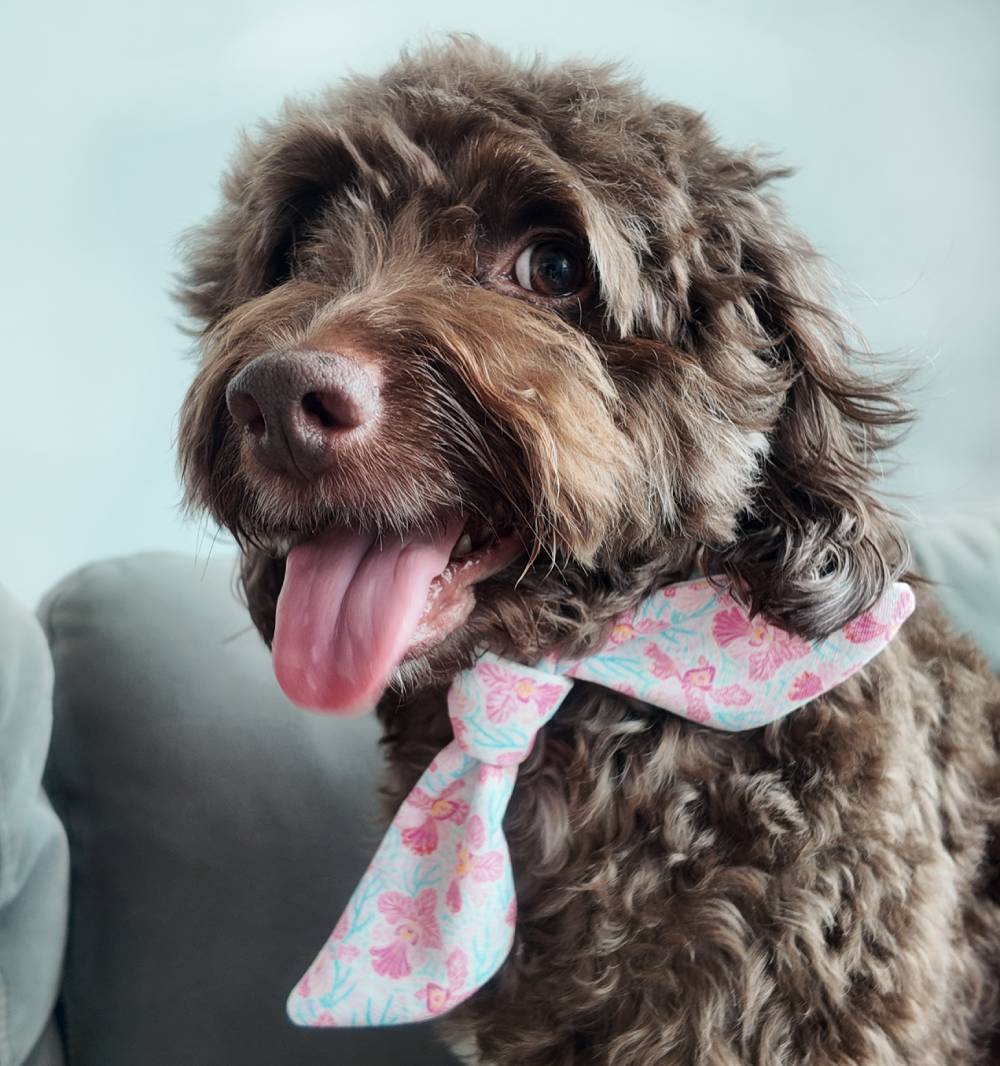 Neckerchief - Ditsy Miss Joaquim
