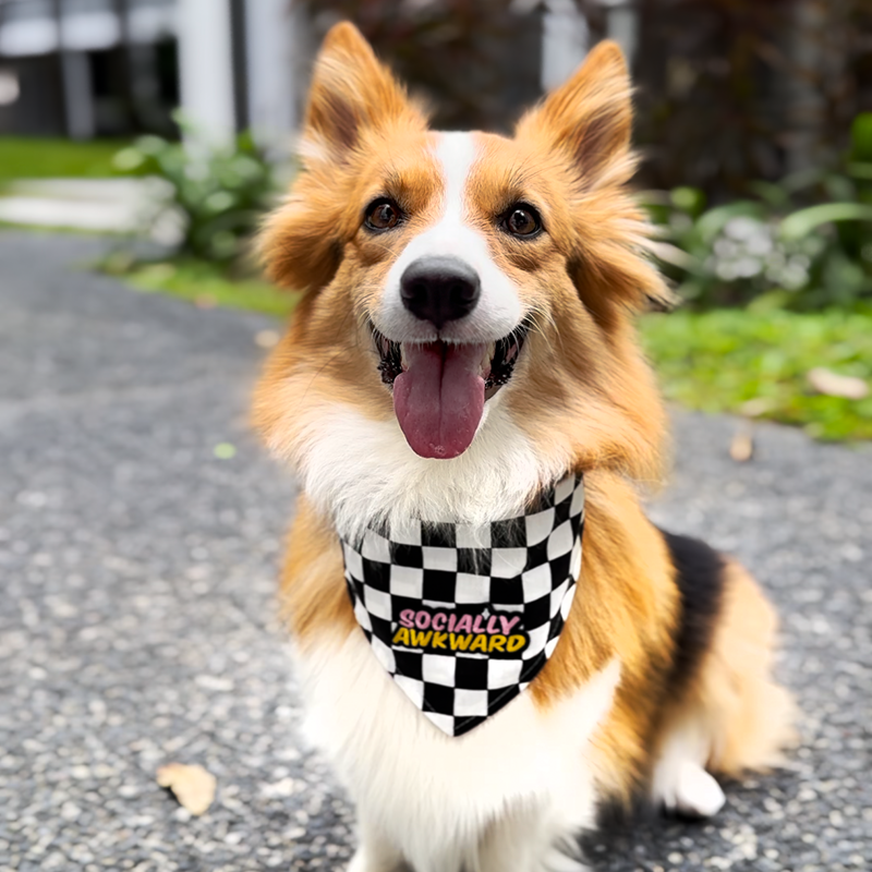 Socially Awkward Black Checkered Bandana