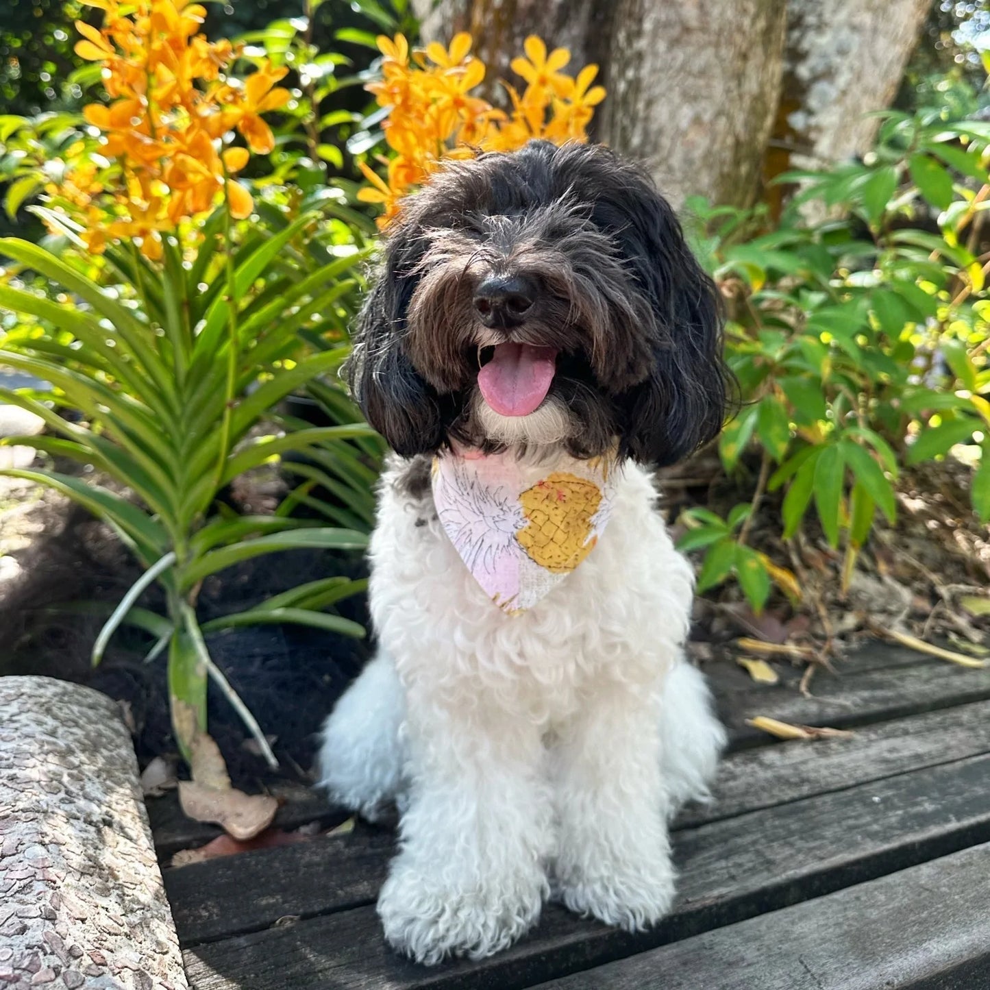 Pineapple Reversible Bandana_Pet Bandana_Oh Doggou
