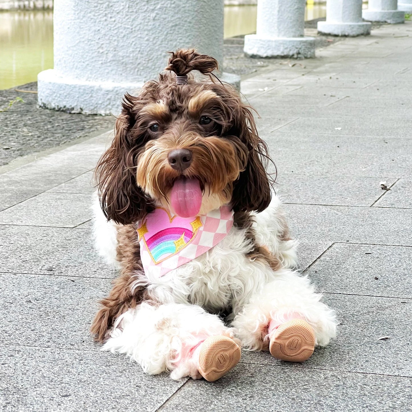 Pink Checkered Bandana_Waterproof Snood_Oh Doggou
