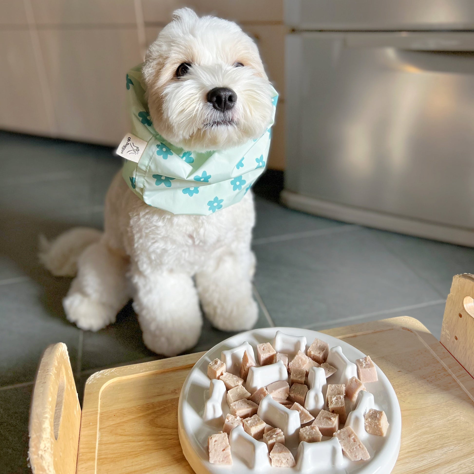 Mint Green Flowers Waterproof Dog Snood_Waterproof Snood_Oh Doggou