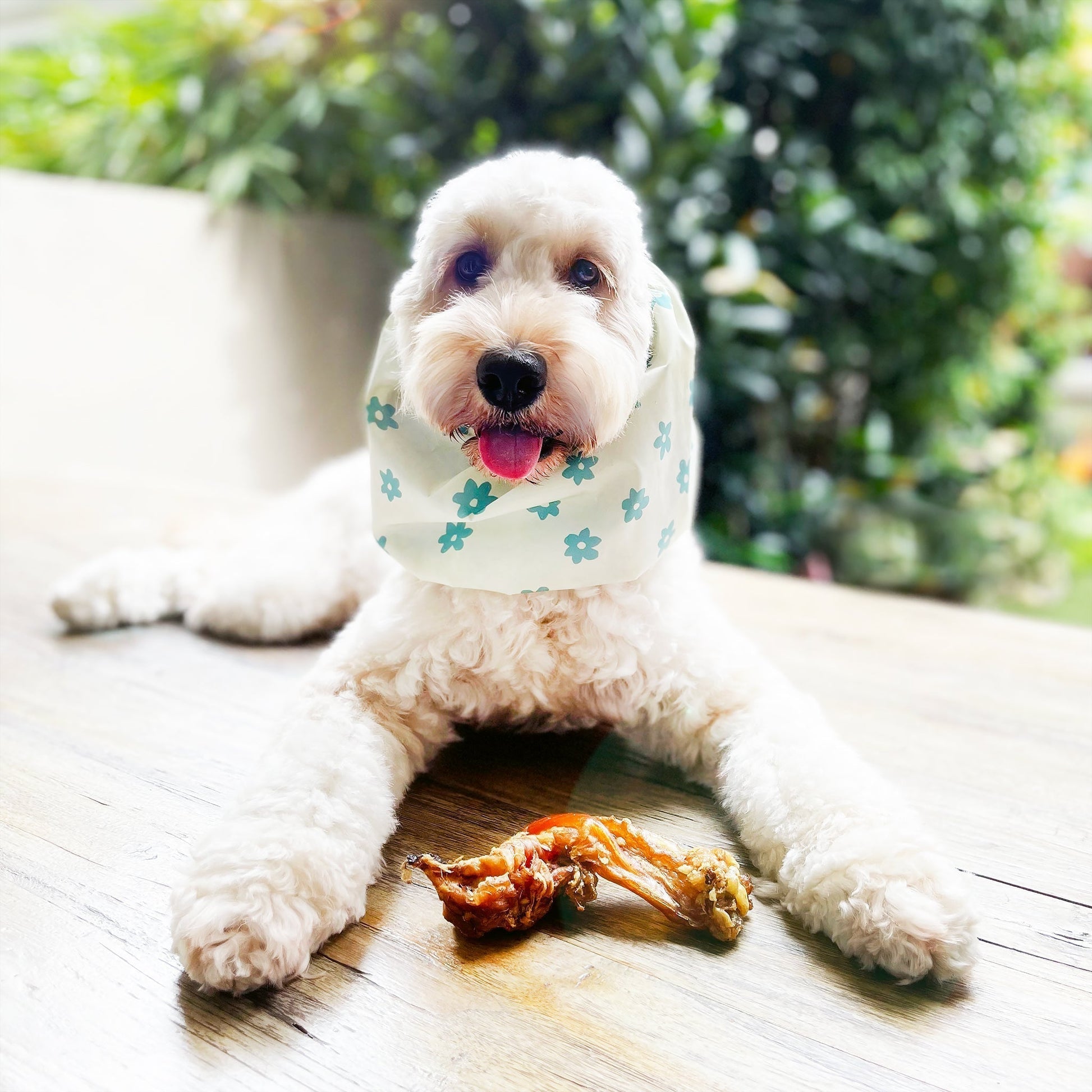 Mint Green Flowers Waterproof Dog Snood_Waterproof Snood_Oh Doggou